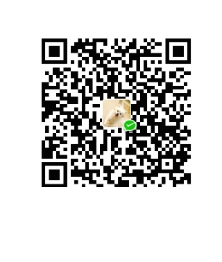 童话王国的探路者 WeChat Pay